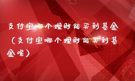 支付宝哪个理财能买到基金（支付宝哪个理财能买到基金呢）_https://www.kuaijiepai.net_期货理财_第1张