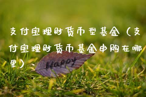 支付宝理财货币型基金（支付宝理财货币基金申购在哪里）_https://www.kuaijiepai.net_投资理财_第1张