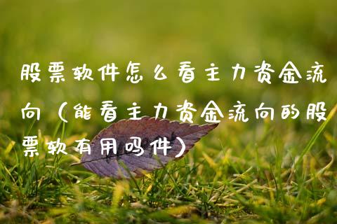 股票软件怎么看主力资金流向（能看主力资金流向的股票软有用吗件）_https://www.kuaijiepai.net_国际股建_第1张