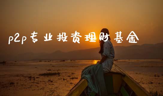 p2p专业投资理财基金_https://www.kuaijiepai.net_期货理财_第1张