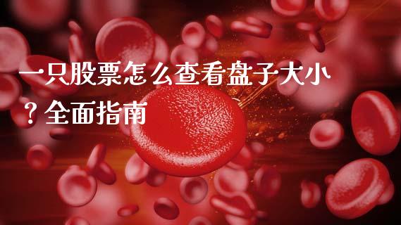 一只股票怎么查看盘子大小？全面指南_https://www.kuaijiepai.net_股票理论_第1张