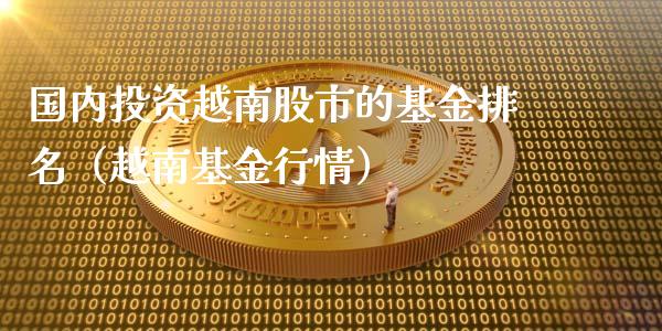 国内投资越南股市的基金排名（越南基金行情）_https://www.kuaijiepai.net_投资理财_第1张