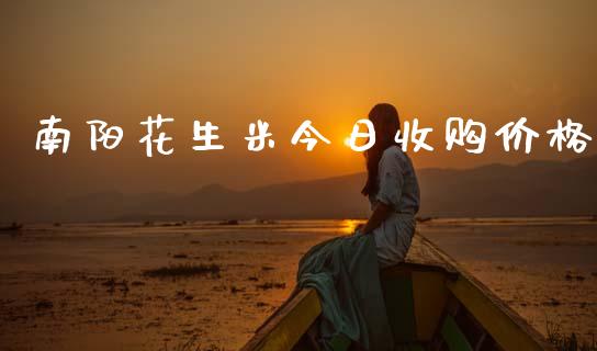 南阳花生米今日收购价格_https://www.kuaijiepai.net_期货资讯_第1张