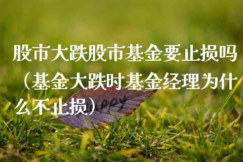 股市大跌股市基金要止损吗（基金大跌时基金经理为什么不止损）_https://www.kuaijiepai.net_期货理财_第1张